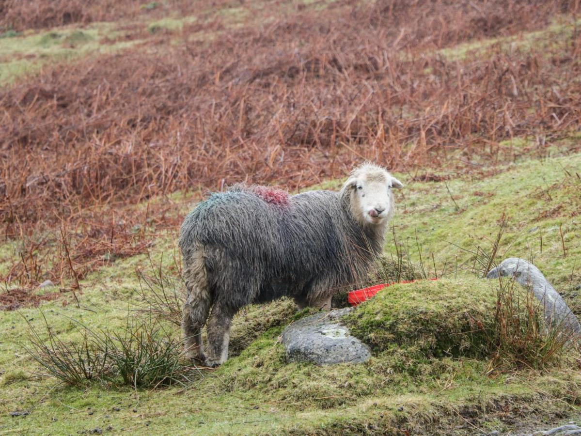 Howgill Lodge Kendal Luaran gambar